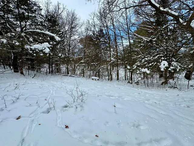 $125,000 | Tbd 162nd Street Northwest, Big Lake, MN 55309
