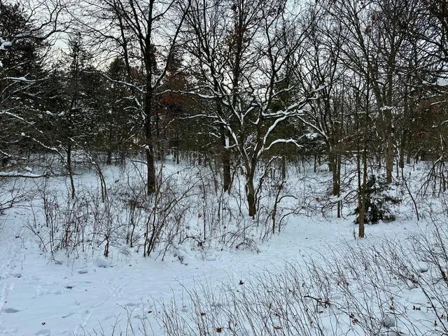 $125,000 | Tbd 162nd Street Northwest, Big Lake, MN 55309