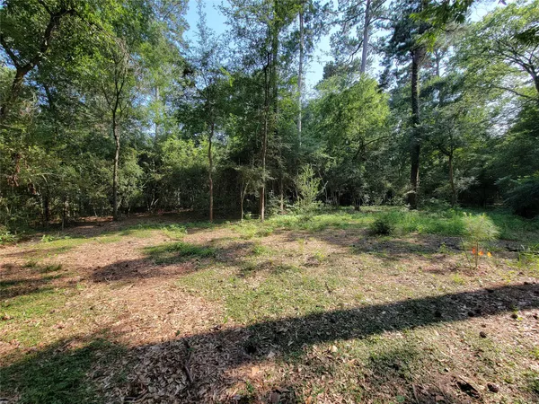 a view of a yard with plants and trees