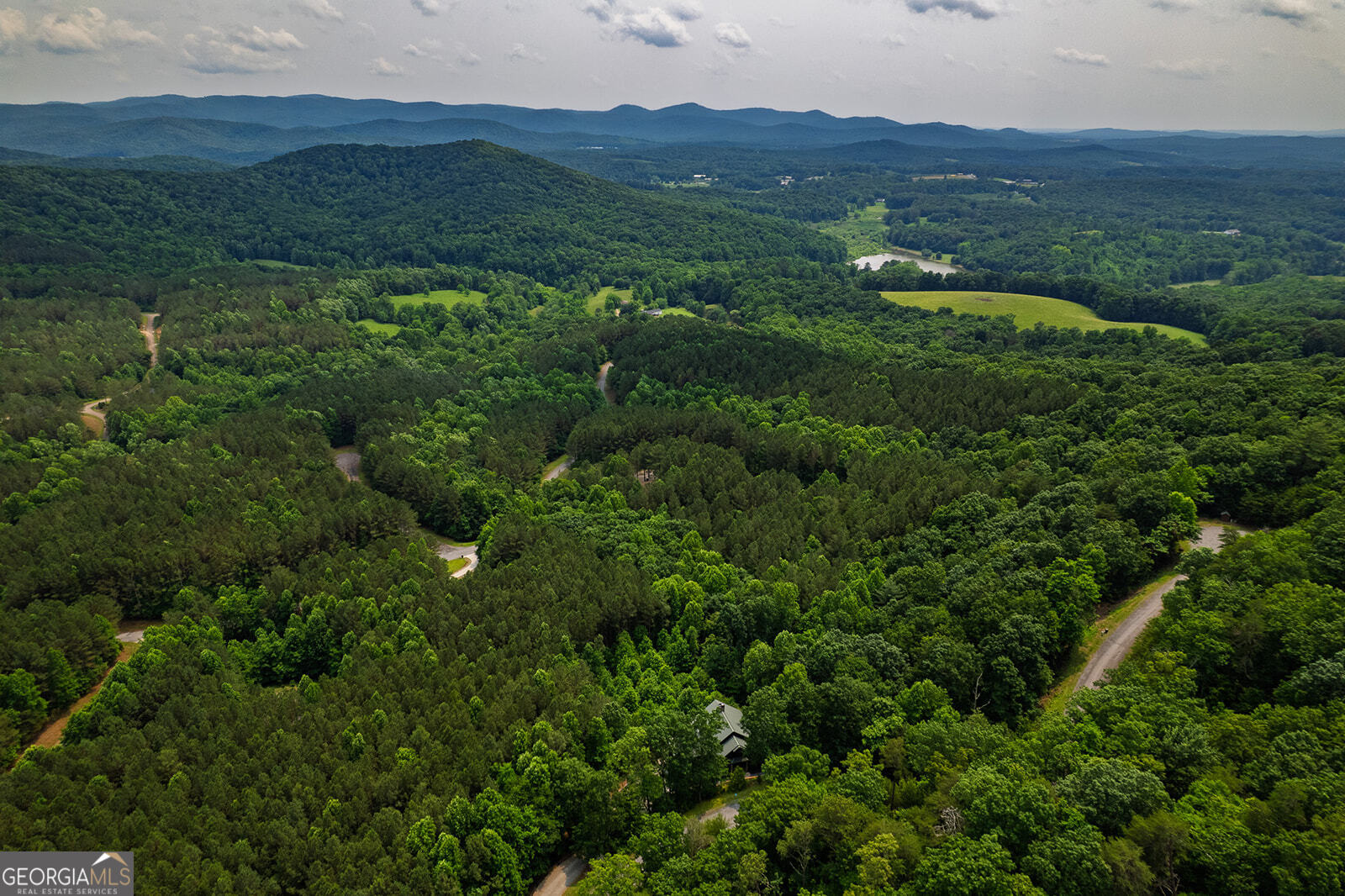 239 Ridge Top Drive Ellijay, GA 30536 - Photo 11 of 91