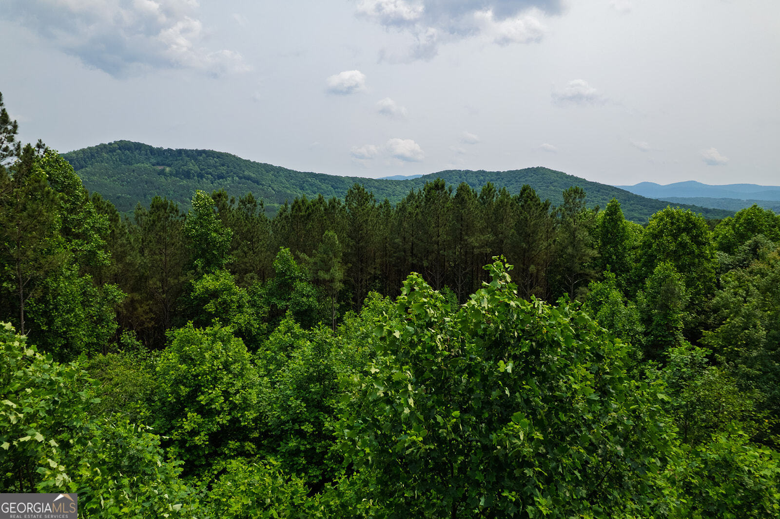 239 Ridge Top Drive Ellijay, GA 30536 - Photo 21 of 91