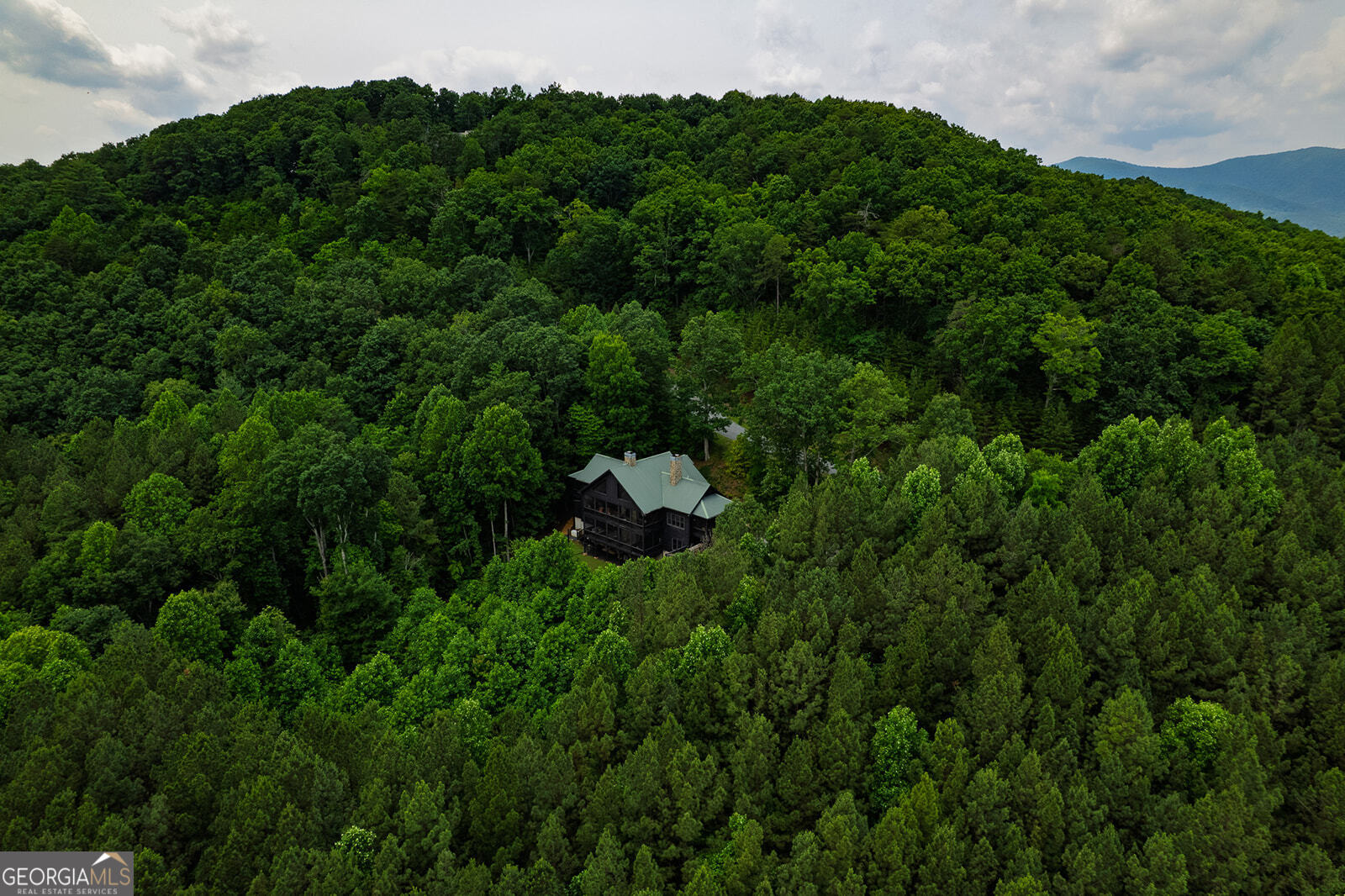 239 Ridge Top Drive Ellijay, GA 30536 - Photo 25 of 91
