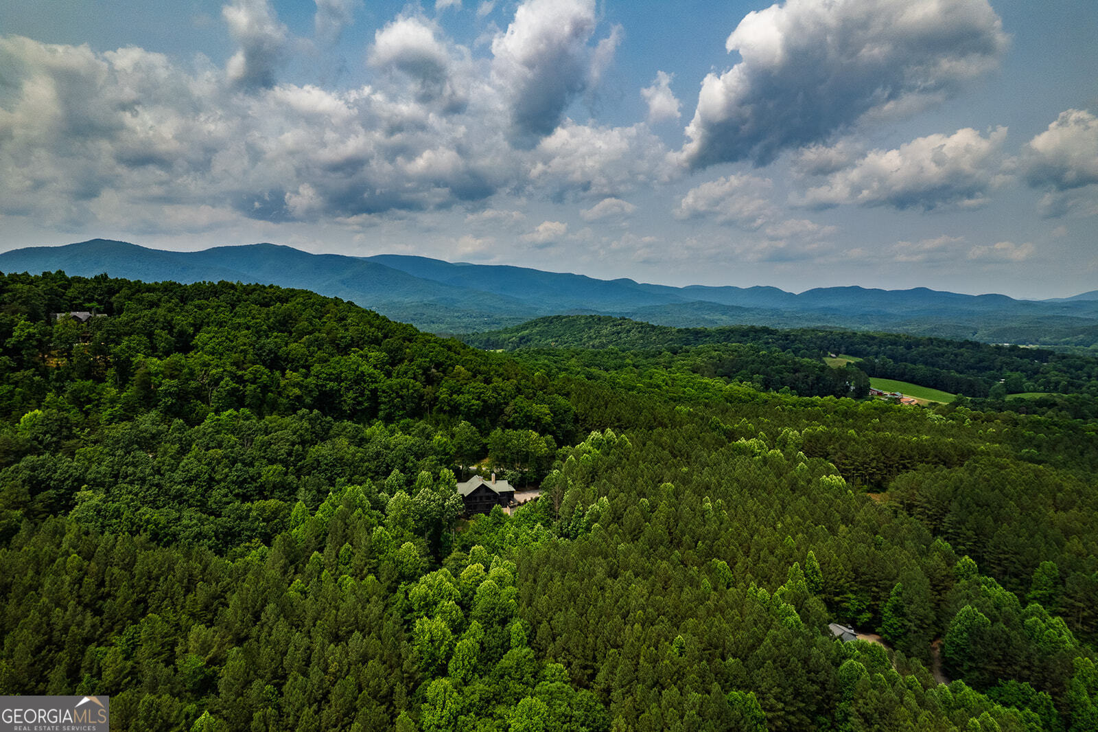 239 Ridge Top Drive Ellijay, GA 30536 - Photo 33 of 91
