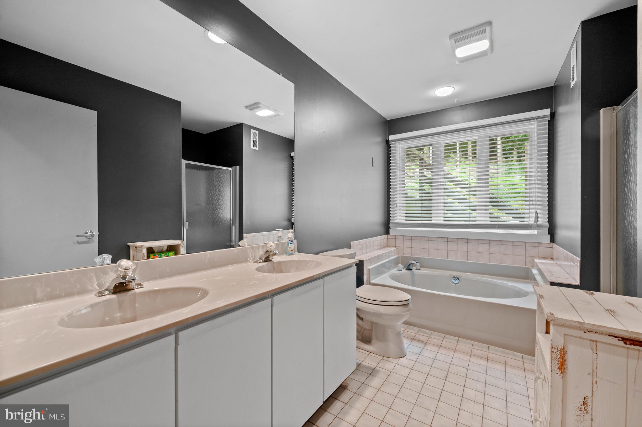 41 Lyons Run Road Glenmoore, PA 19343 - Photo 29 of 42 a bathroom with a granite countertop sink a toilet a large mirror and bathtub
