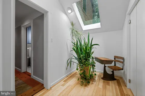a view of a entryway with wooden floor and a potted plant