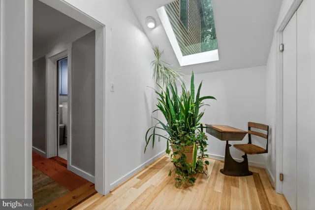 a view of a entryway with wooden floor and a potted plant