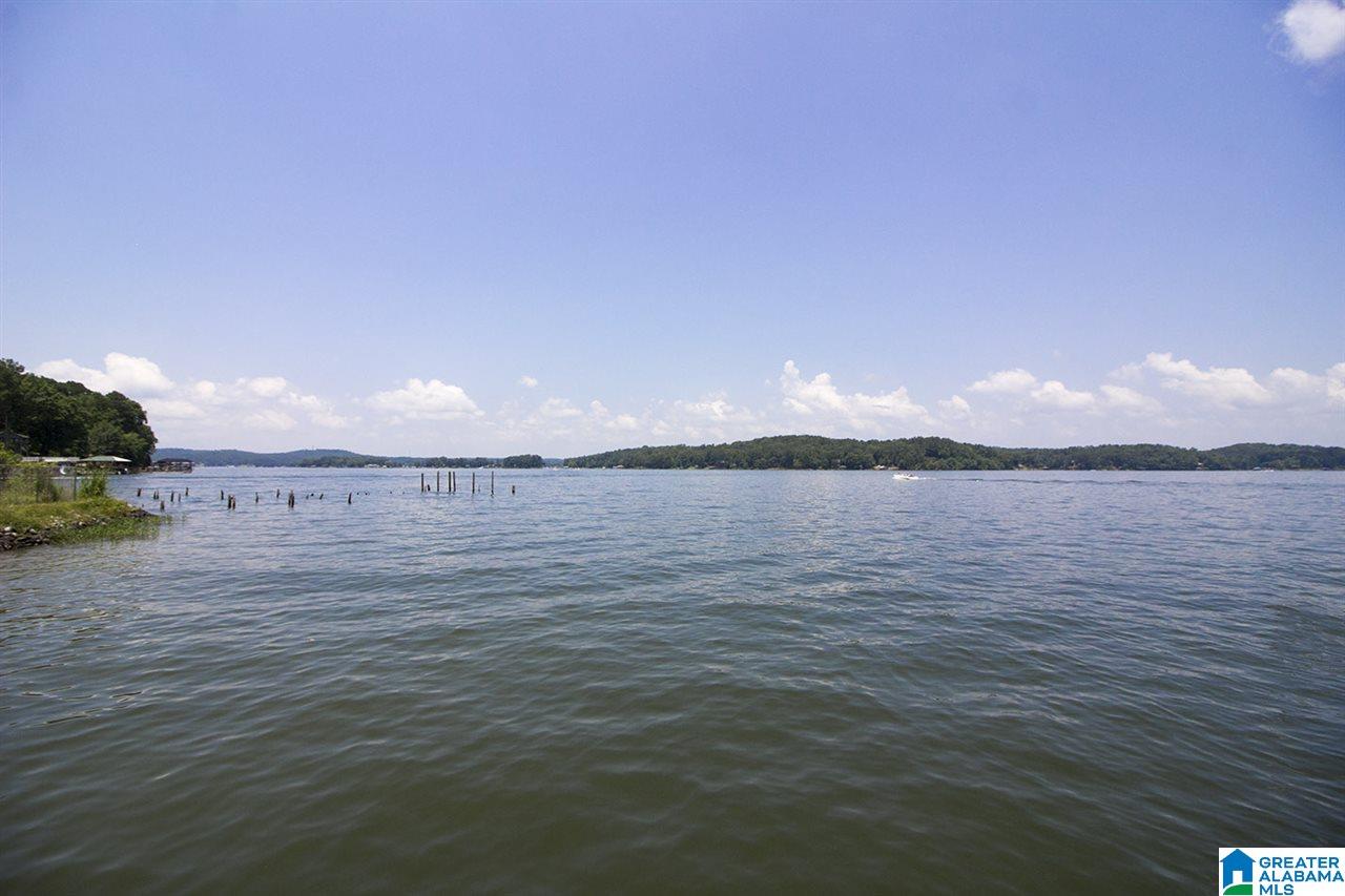 2 Pleasure Point Talladega, AL 35160 - Photo 7 of 29