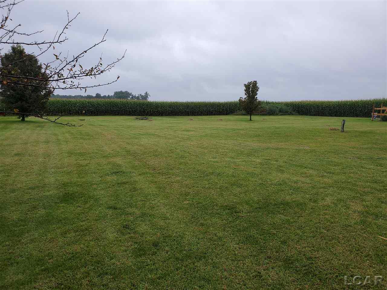 10820 Forche Road Blissfield, MI 49228 - Photo 47 of 50 31392347-46.JPG