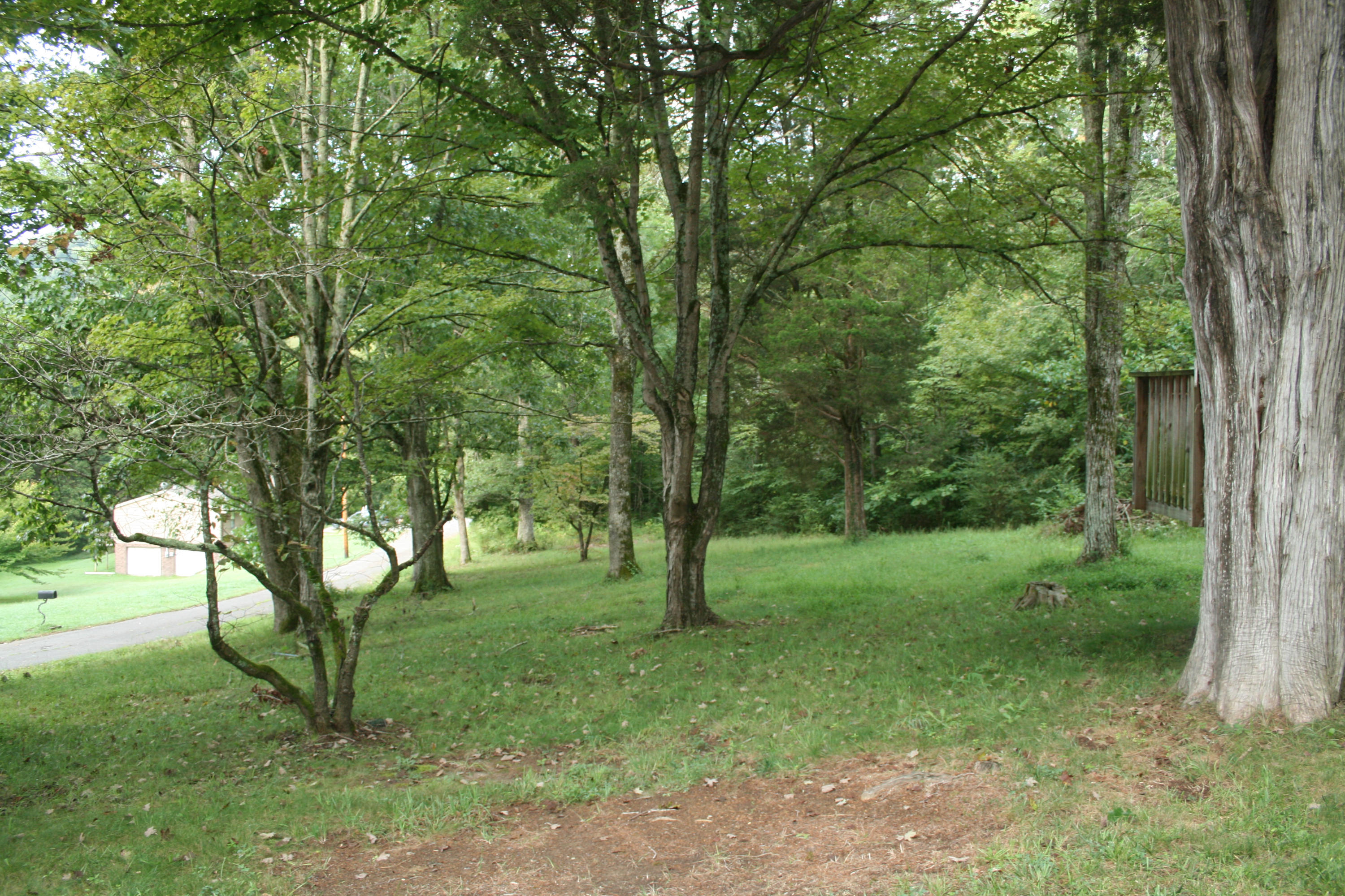 1511 Smallman Road Knoxville, TN 37920 - Photo 3 of 30 IMG_5744