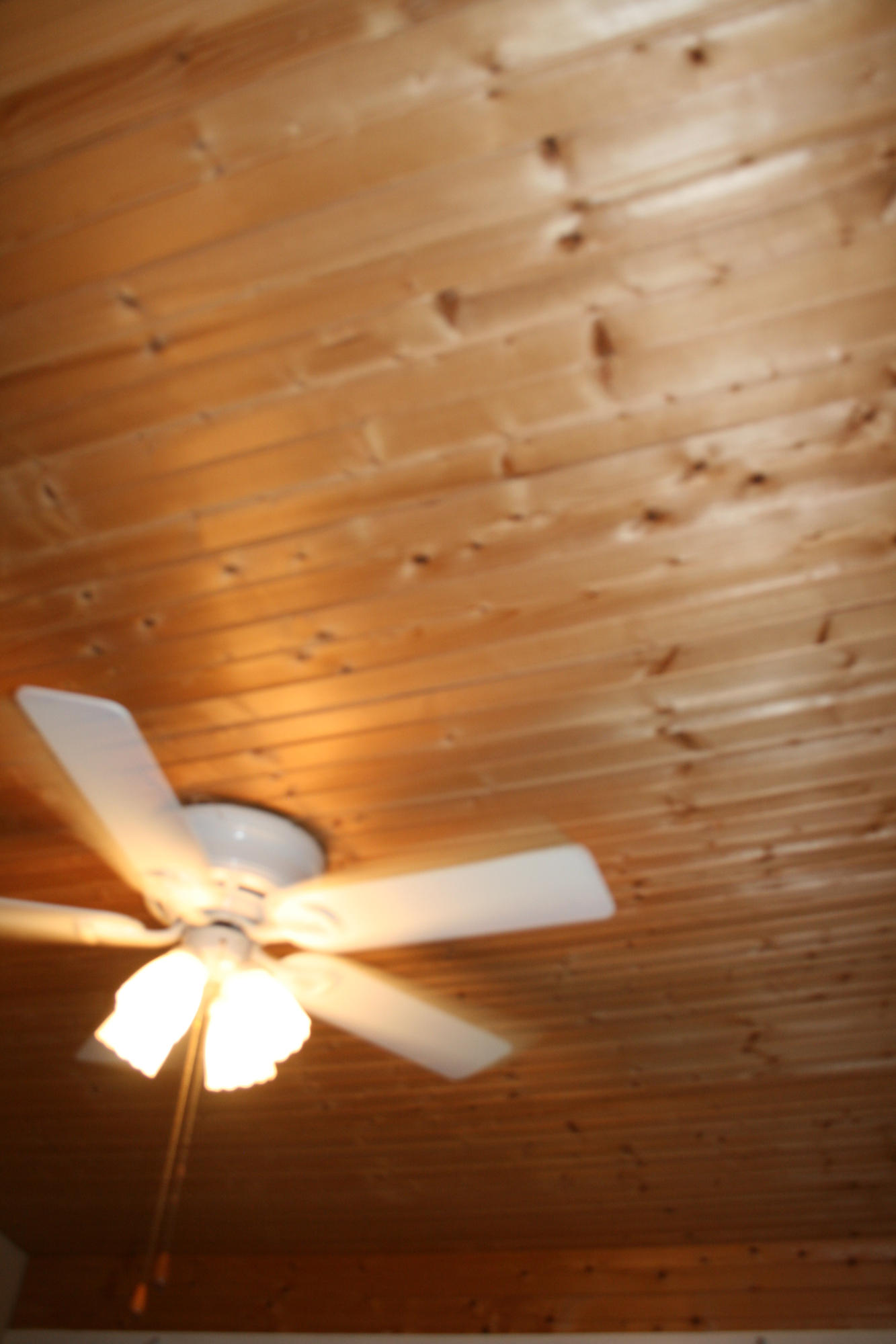 1511 Smallman Road Knoxville, TN 37920 - Photo 30 of 30 IMG_5786
