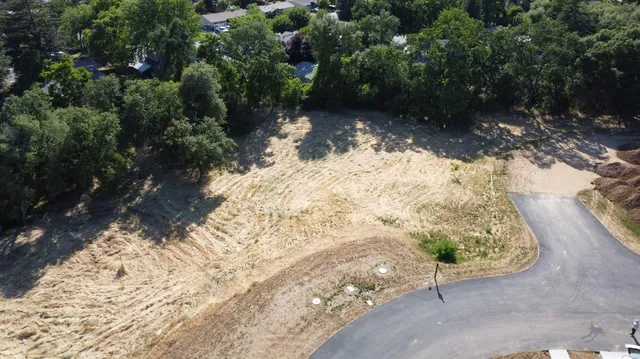 a view of a yard with plants and trees