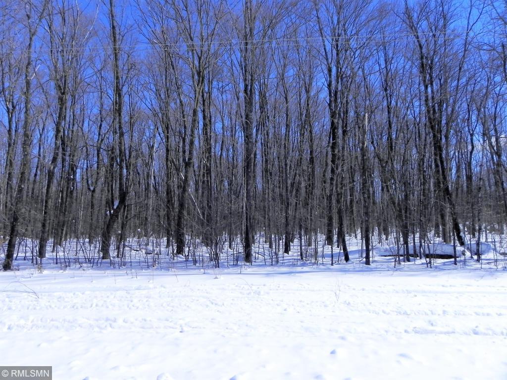 0 County Road West Frederic, WI 54837 - Photo 1 of 1 Gallery Image 1