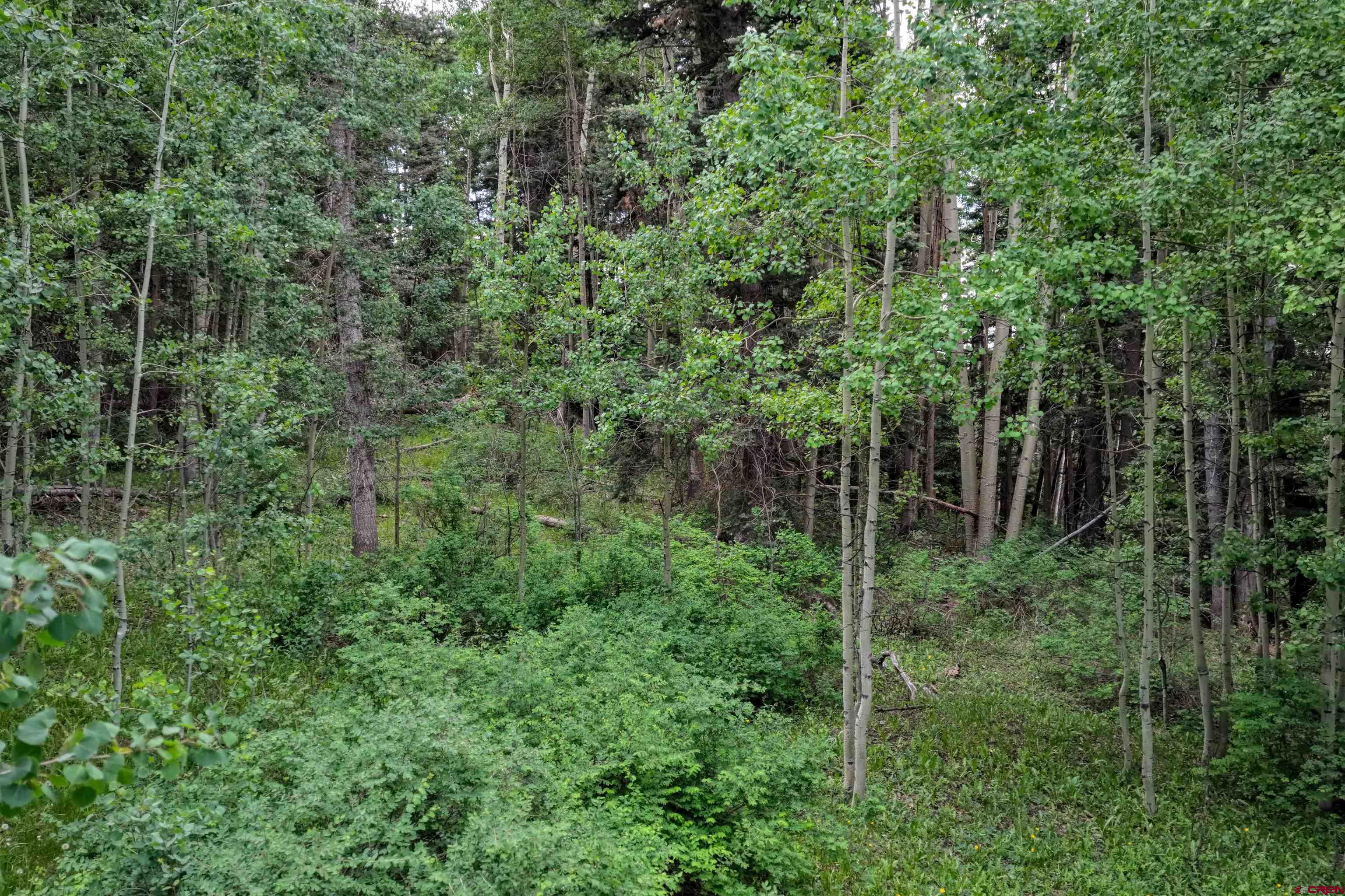 4556 Middle Mountain Road Bayfield, CO 81122 - Photo 5 of 11