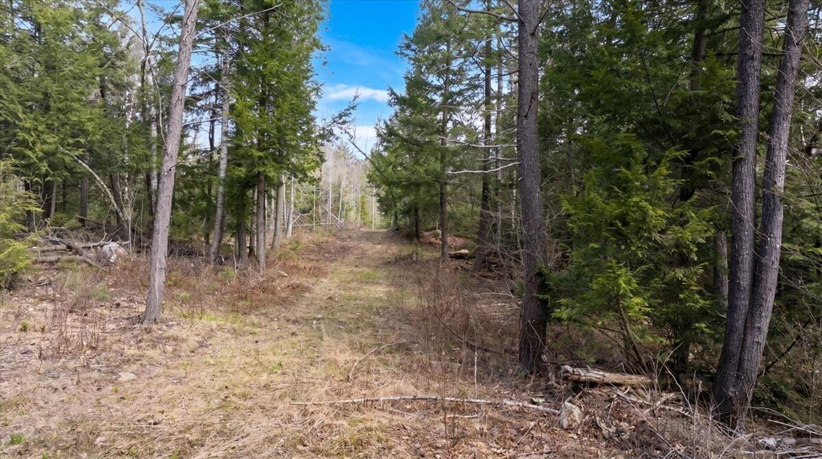 28 Trinity Way Monmouth, ME 04259 - Photo 18 of 33 19-DJI_20260504110353_0200_D_edit