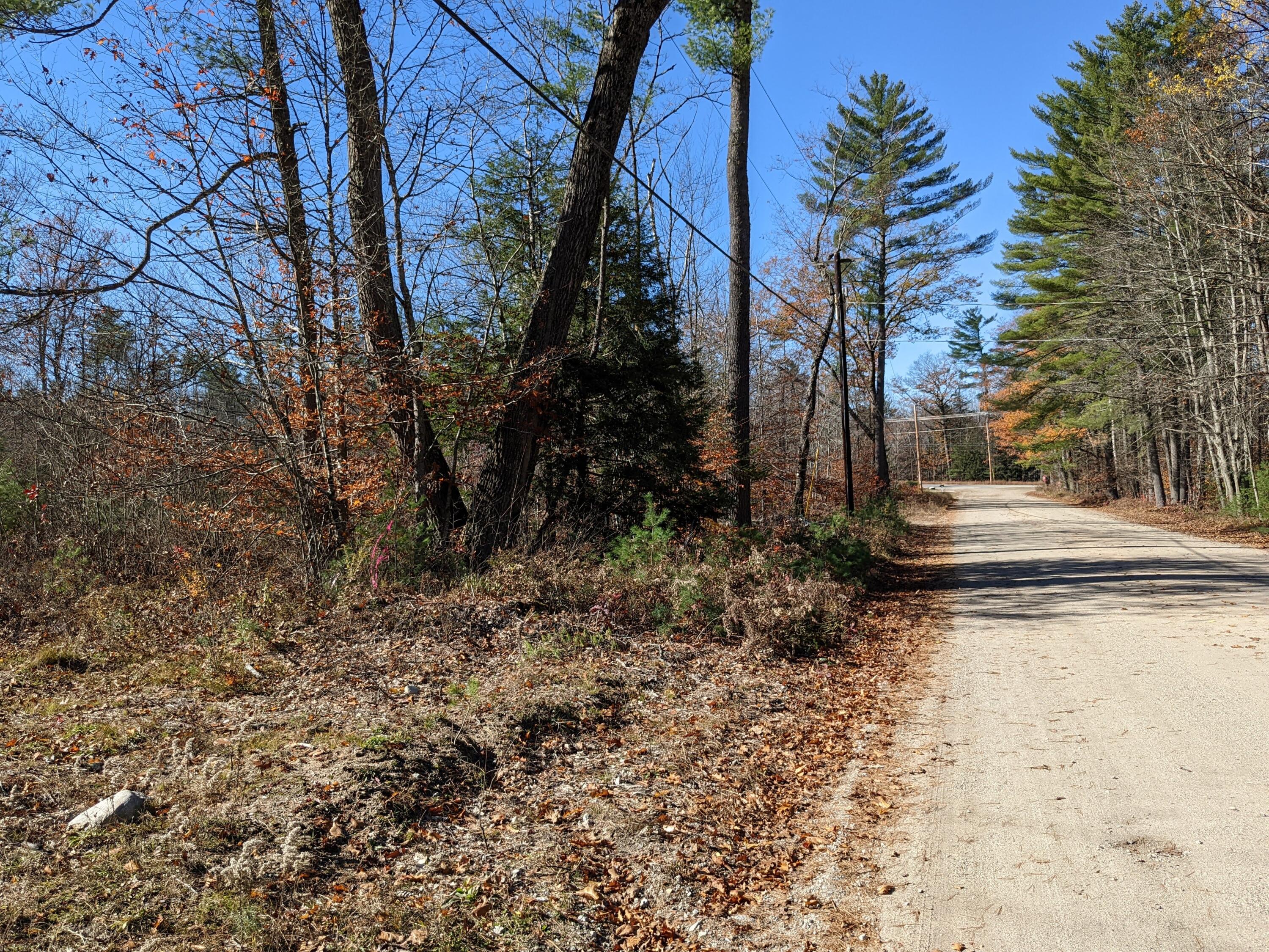 Lot # Highland Park Road Fryeburg, ME 04037 - Photo 15 of 15 Front Boundary of Lot D on Highland