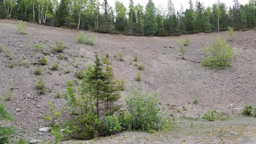 0 Stratton Road Dallas Plt, ME 04970 - Photo 26 of 39 20180607_132903