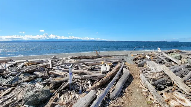 a view of an ocean beach