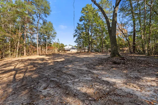 a view of outdoor space with trees
