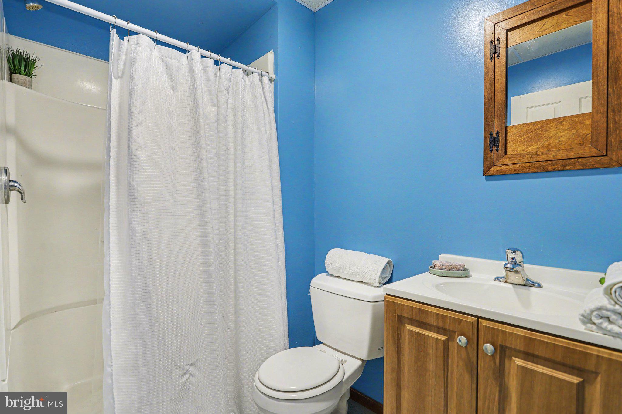 204 Bullfrog Road Gettysburg, PA 17325 - Photo 45 of 52 a bathroom with a sink mirror and toilet