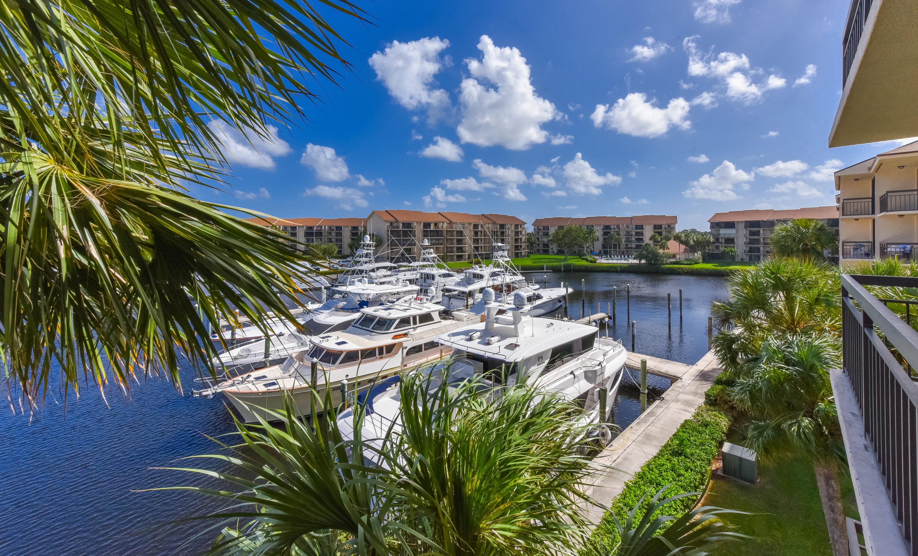 2401 Marina Isle Way, Unit 405 Jupiter, FL 33477 - Photo 8 of 30 a picture of a city with lots of palm trees