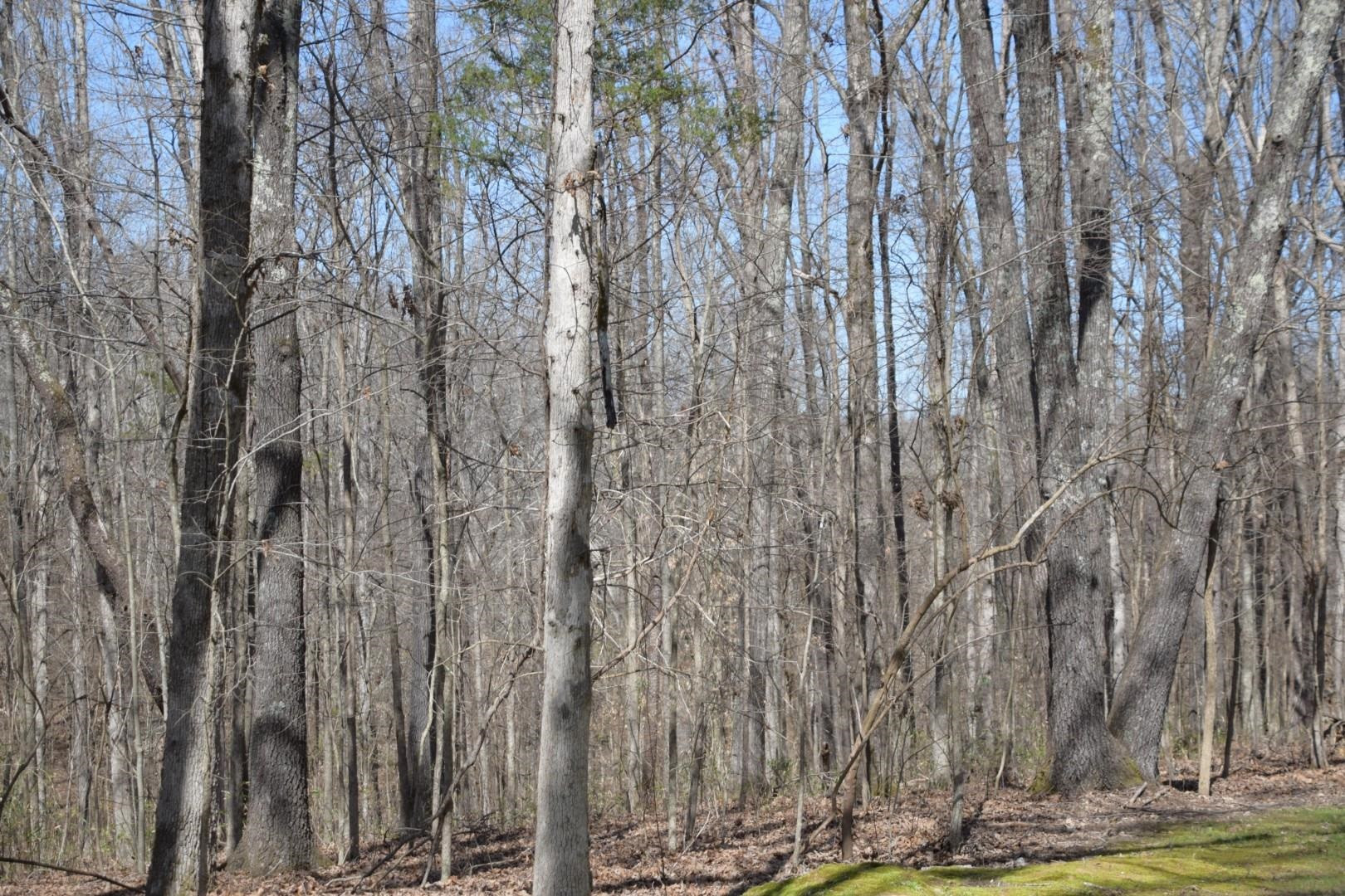 600 Melvin Young Road Medon, TN 38356 - Photo 35 of 43 Photo 36