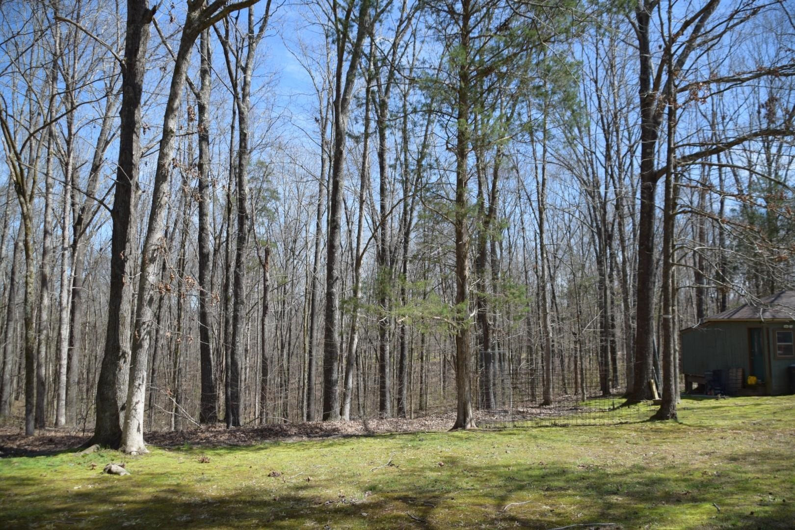 600 Melvin Young Road Medon, TN 38356 - Photo 38 of 43 Photo 39