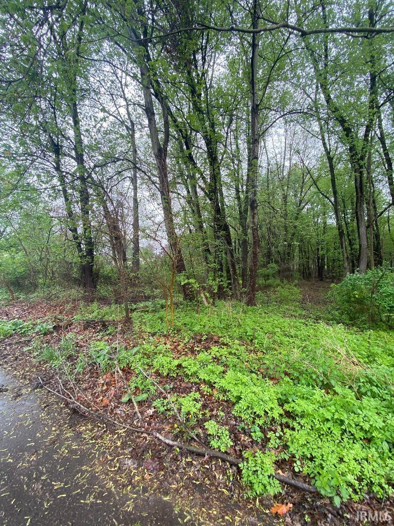 Lot 2 Rivercrest Warsaw, IN 46580 - Photo 4 of 10