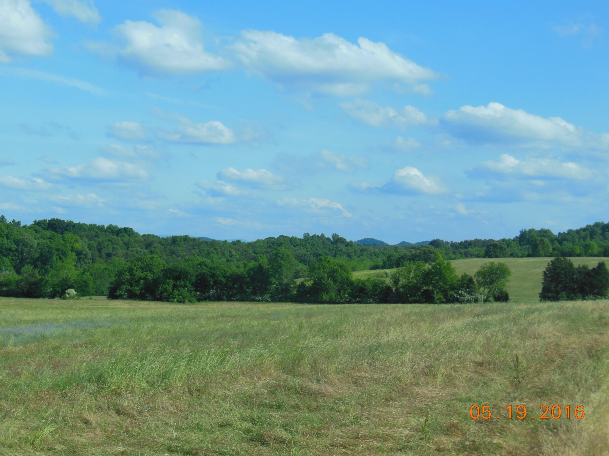 0 Old Athens Road Madisonville, TN 37354 - Photo 1 of 24 Gallery Image 1