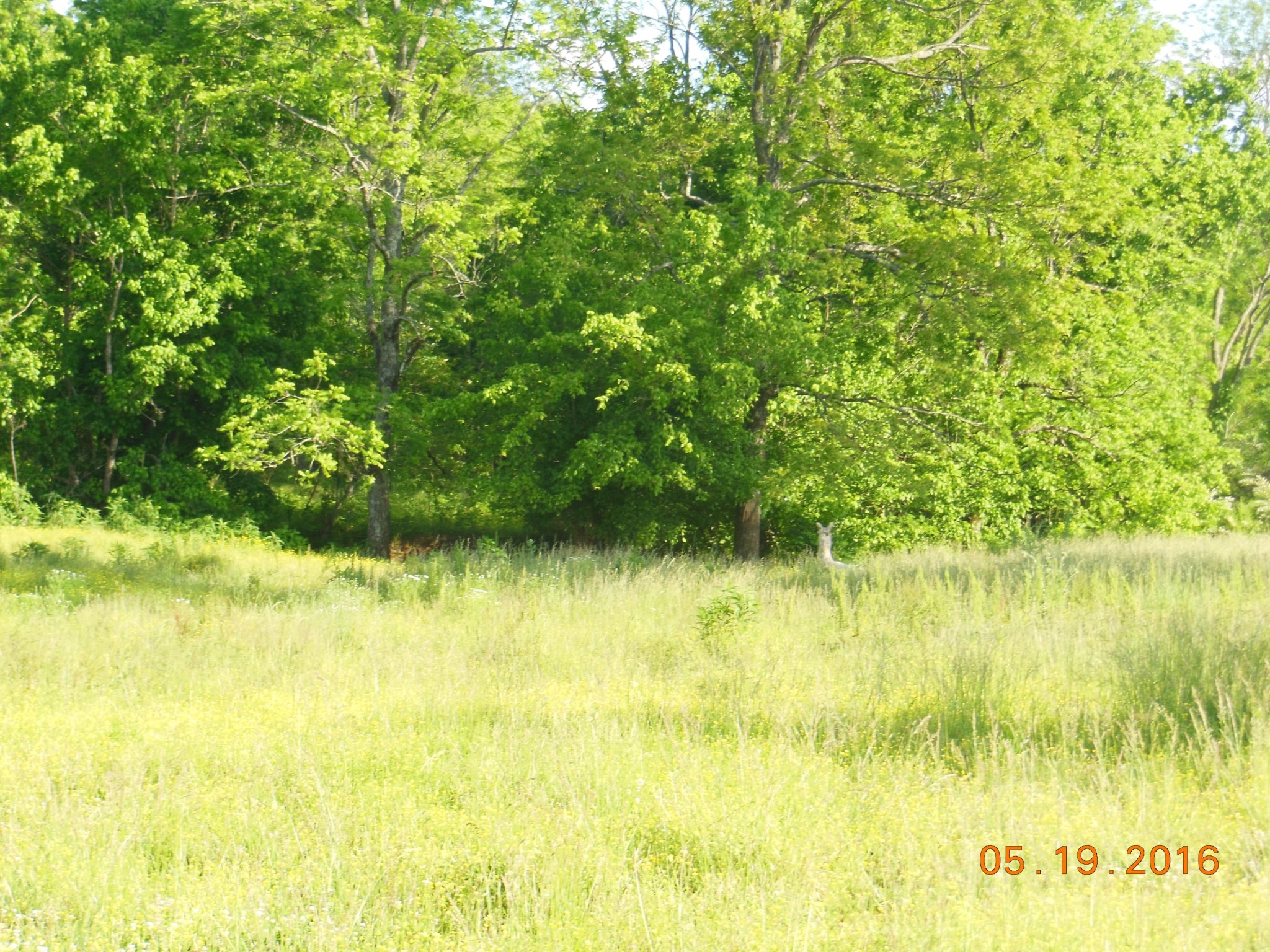 0 Old Athens Road Madisonville, TN 37354 - Photo 11 of 24 Gallery Image 11
