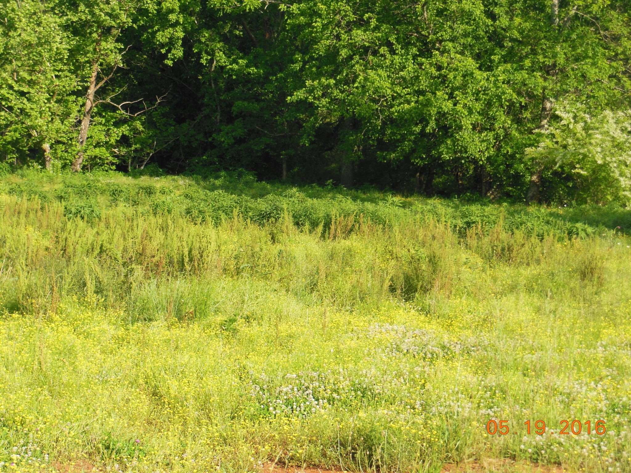 0 Old Athens Road Madisonville, TN 37354 - Photo 12 of 24 Gallery Image 12