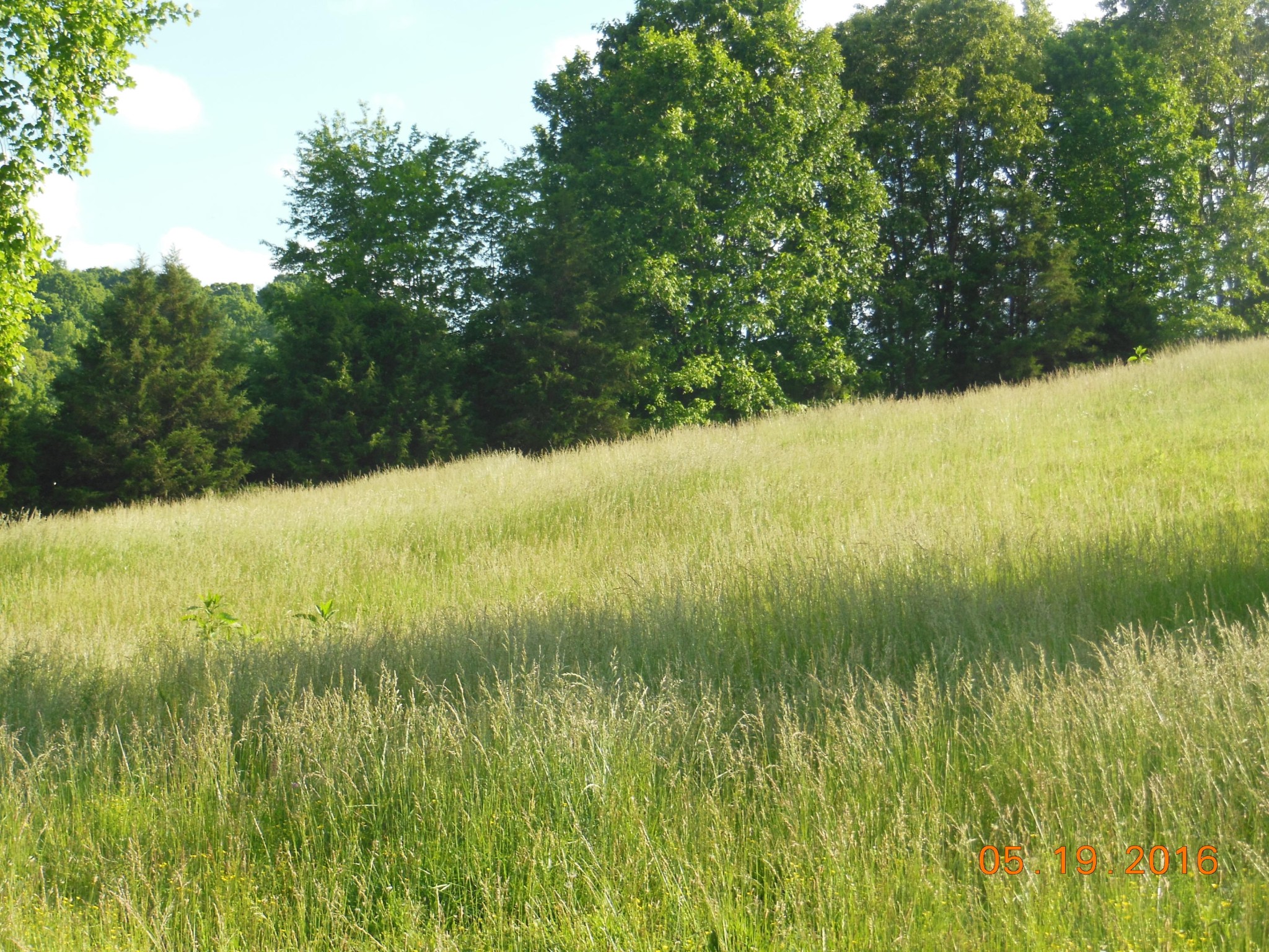 0 Old Athens Road Madisonville, TN 37354 - Photo 15 of 24 Gallery Image 15
