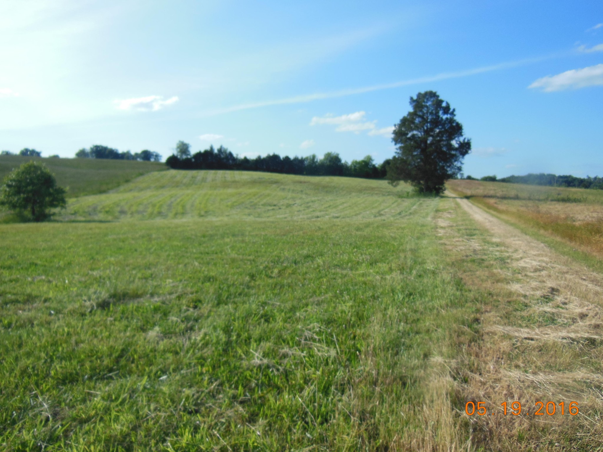 0 Old Athens Road Madisonville, TN 37354 - Photo 20 of 24 Gallery Image 20