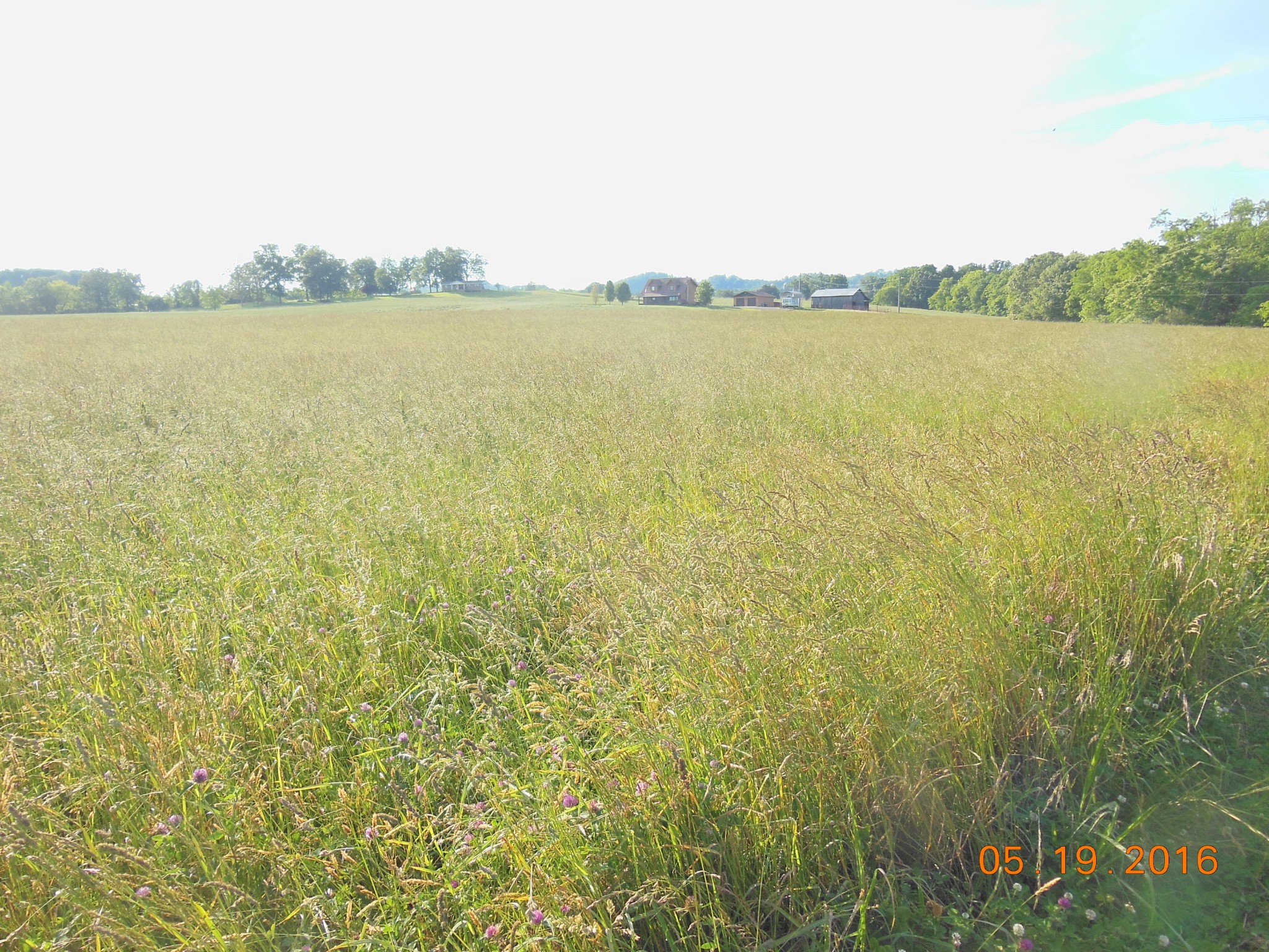 0 Old Athens Road Madisonville, TN 37354 - Photo 22 of 24 Gallery Image 22