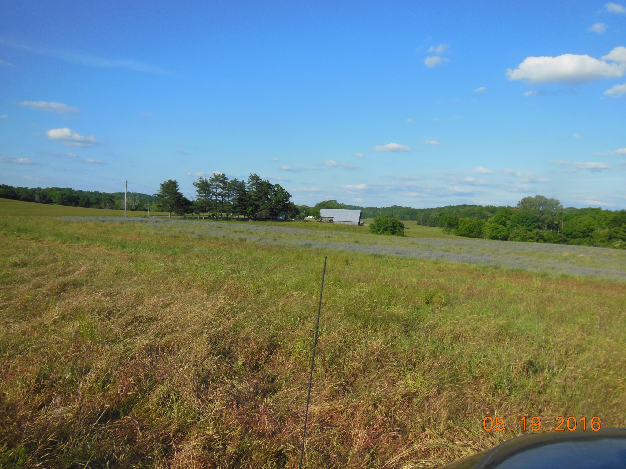 0 Old Athens Road Madisonville, TN 37354 - Photo 23 of 24 Gallery Image 23