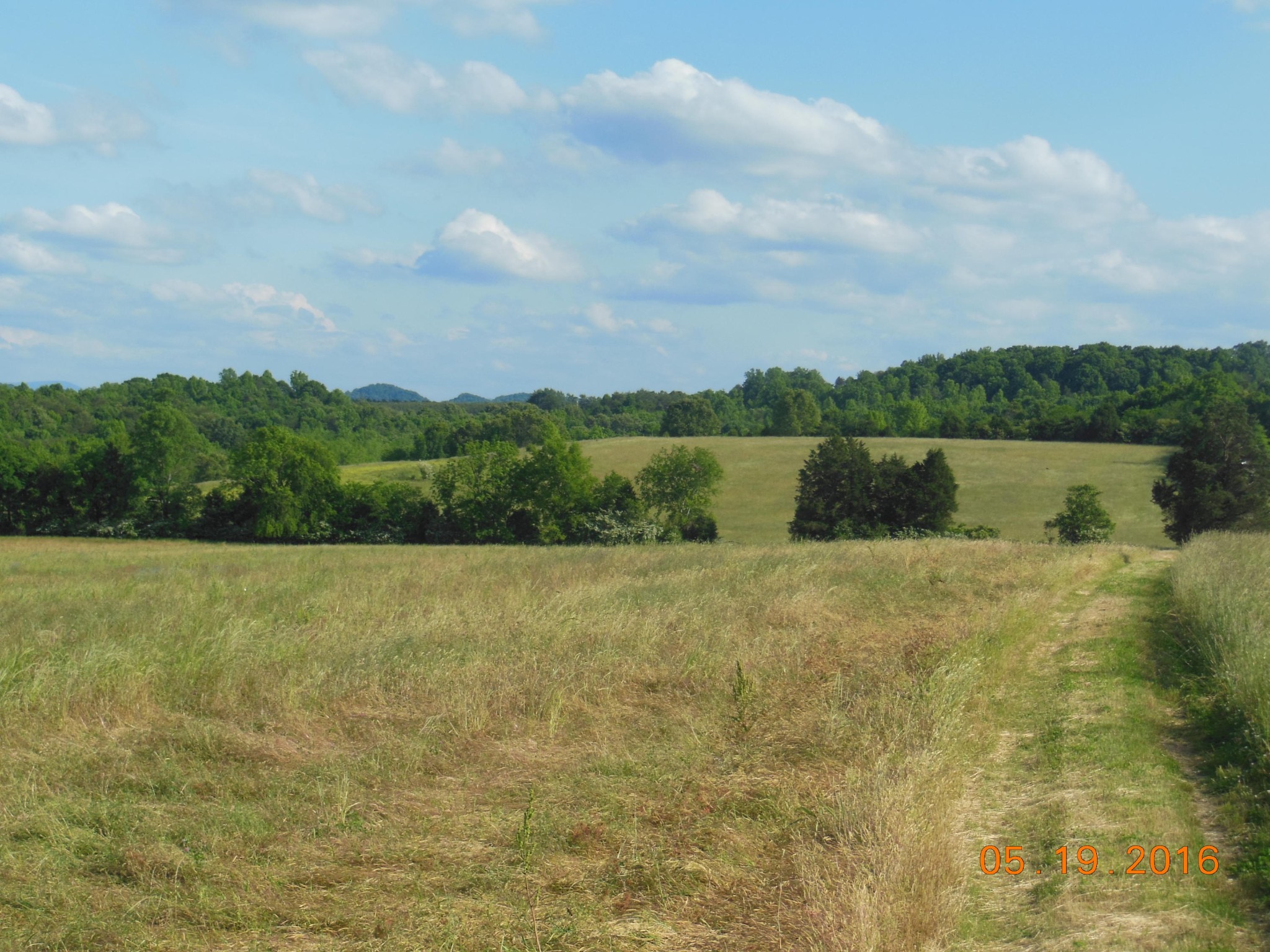 0 Old Athens Road Madisonville, TN 37354 - Photo 3 of 24 Gallery Image 3