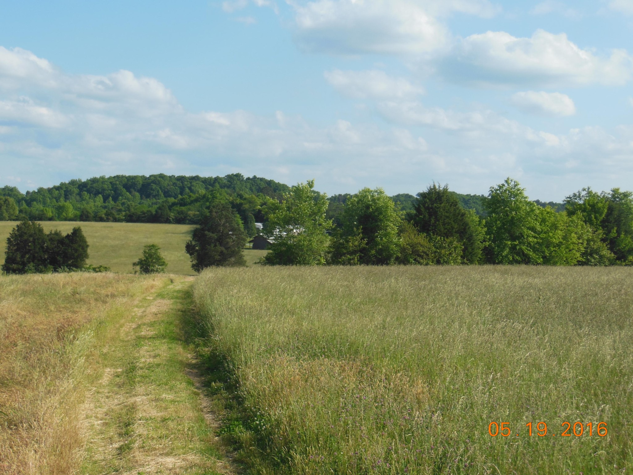 0 Old Athens Road Madisonville, TN 37354 - Photo 4 of 24 Gallery Image 4