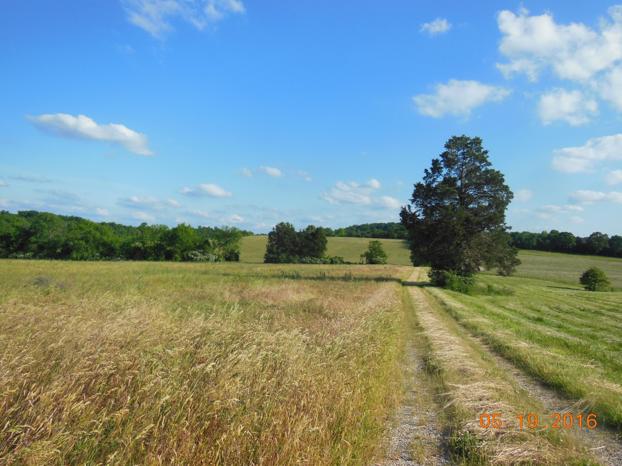 0 Old Athens Road Madisonville, TN 37354 - Photo 7 of 24 Gallery Image 7