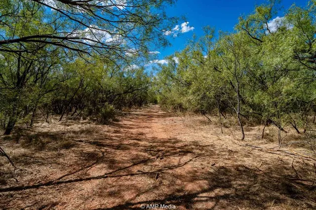 a view of a road with a yard