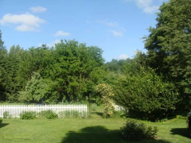 6649 Stage Road Fenwick, MI 48834 - Photo 4 of 12 Additional Photo