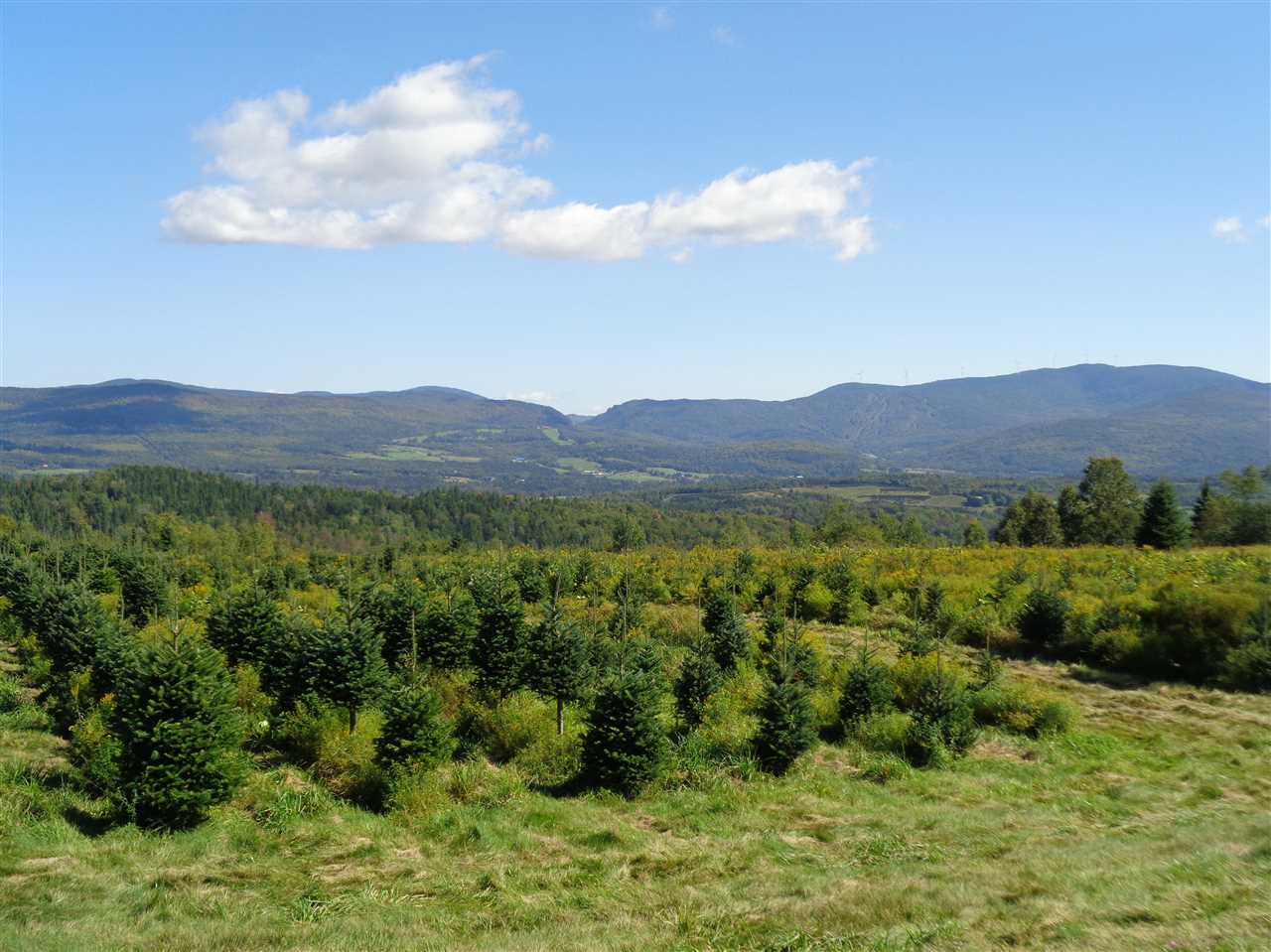 0 Bennett Hill Road Colebrook, NH 03576 - Photo 1 of 21