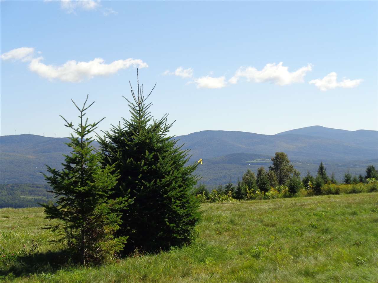 0 Bennett Hill Road Colebrook, NH 03576 - Photo 2 of 21