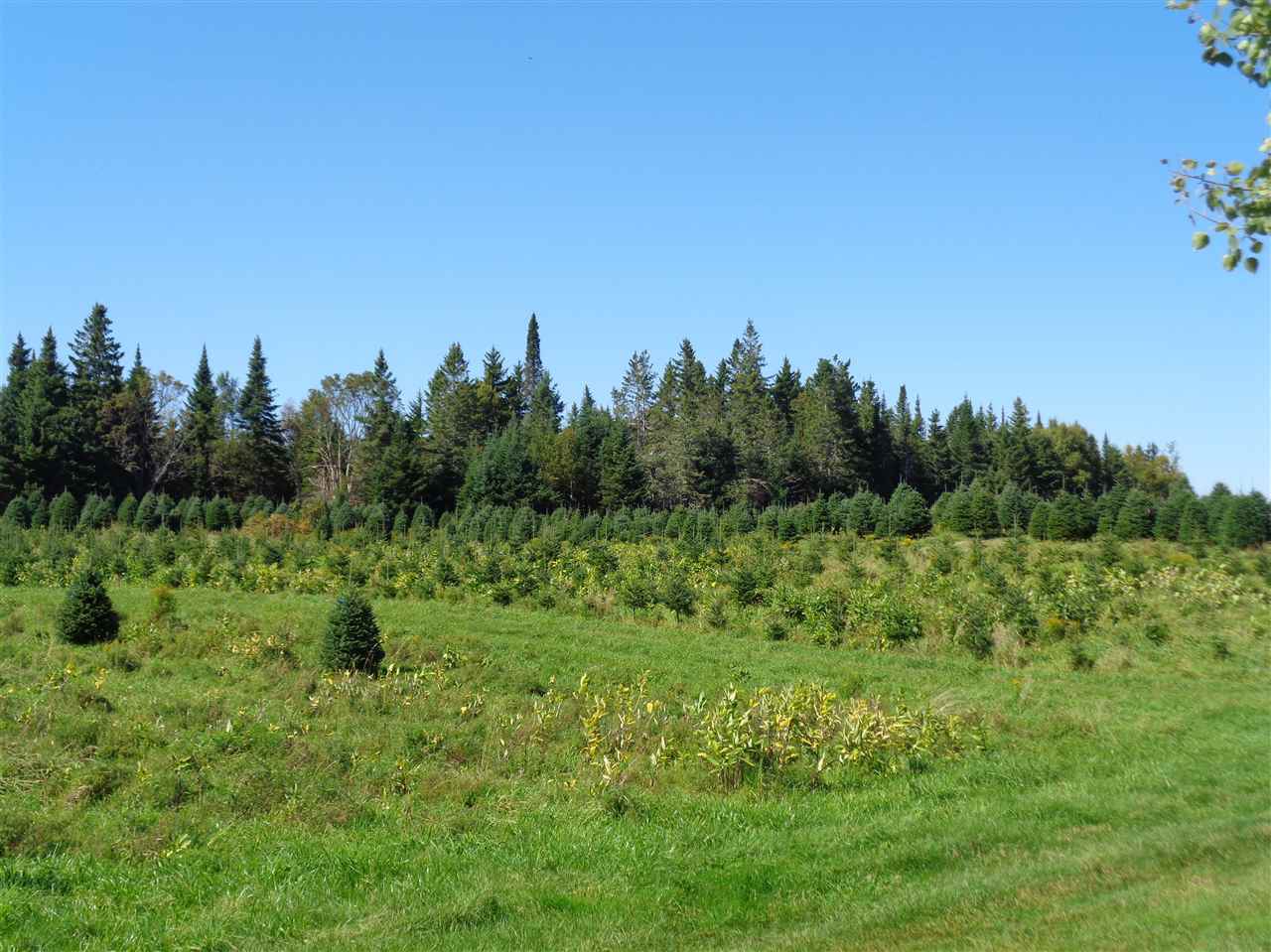 0 Bennett Hill Road Colebrook, NH 03576 - Photo 19 of 21