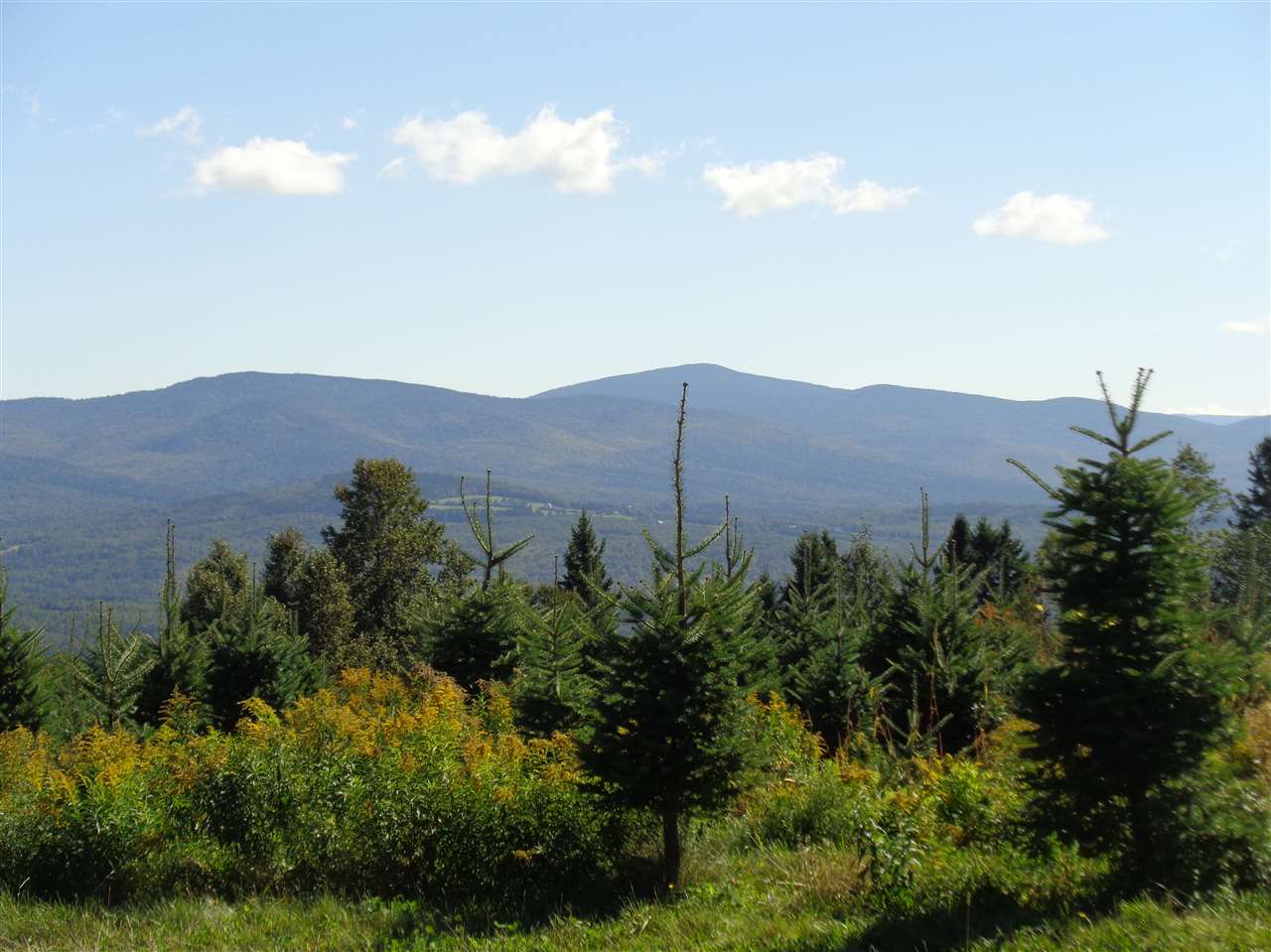 0 Bennett Hill Road Colebrook, NH 03576 - Photo 6 of 21