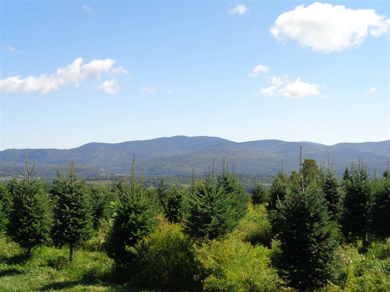 0 Bennett Hill Road Colebrook, NH 03576 - Photo 10 of 21