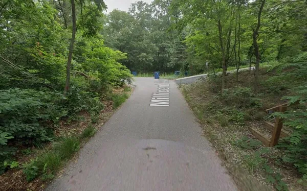 a view of a pathway of a park