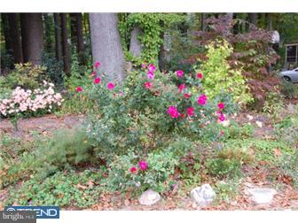 33 Blakely Road Downingtown, PA 19335 - Photo 10 of 11 Gallery Image 10