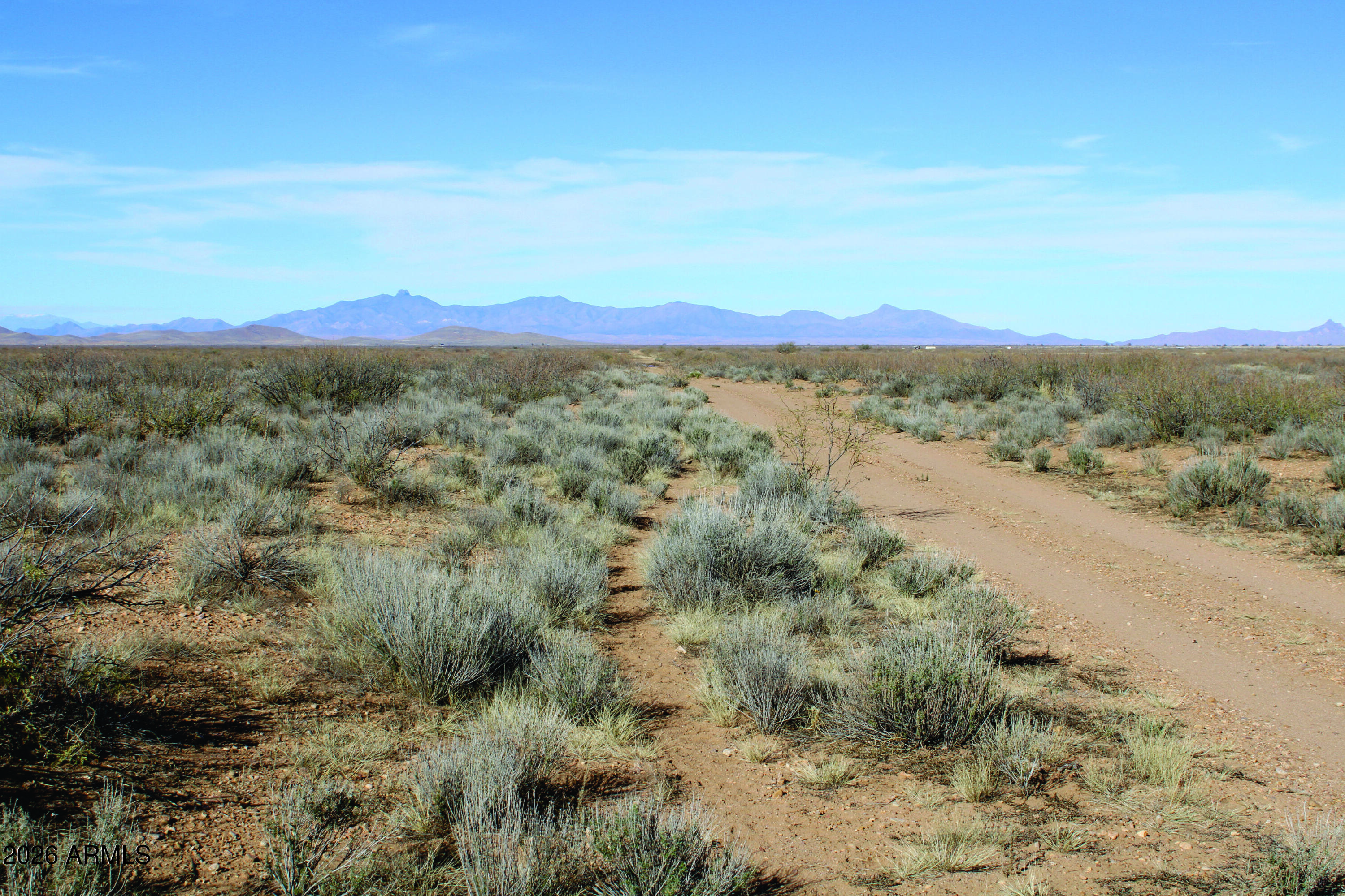5.03-acres South Chato Road, Unit 33 Pearce, AZ 85625 - Photo 4 of 25 IMG_1051.JPG