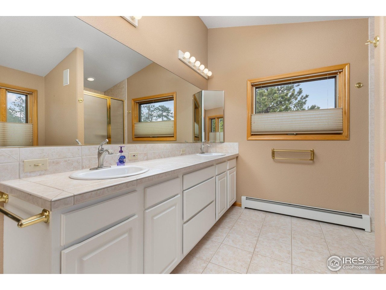 1117 Rock Lake Road Ward, CO 80481 - Photo 22 of 40 a bathroom with a sink and a mirror