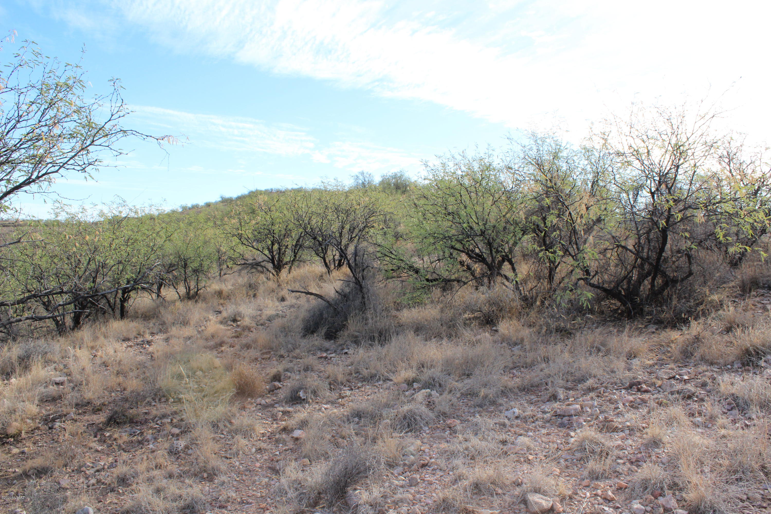 601 Via Cocospera, Unit 19 Rio Rico, AZ 85648 - Photo 10 of 14