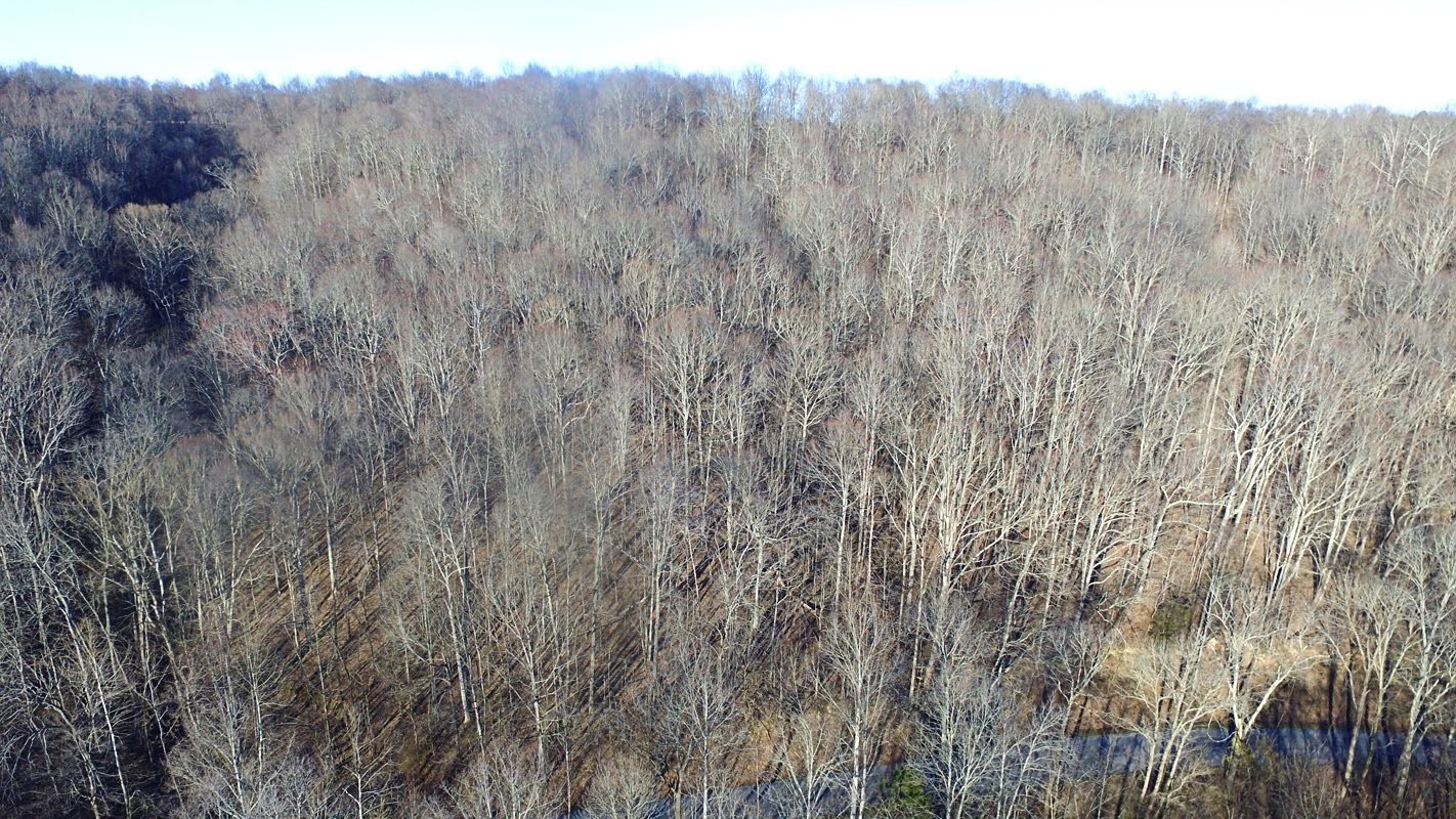 0 Panhandle Road Wartrace, TN 37183 - Photo 1 of 3 Gallery Image 1